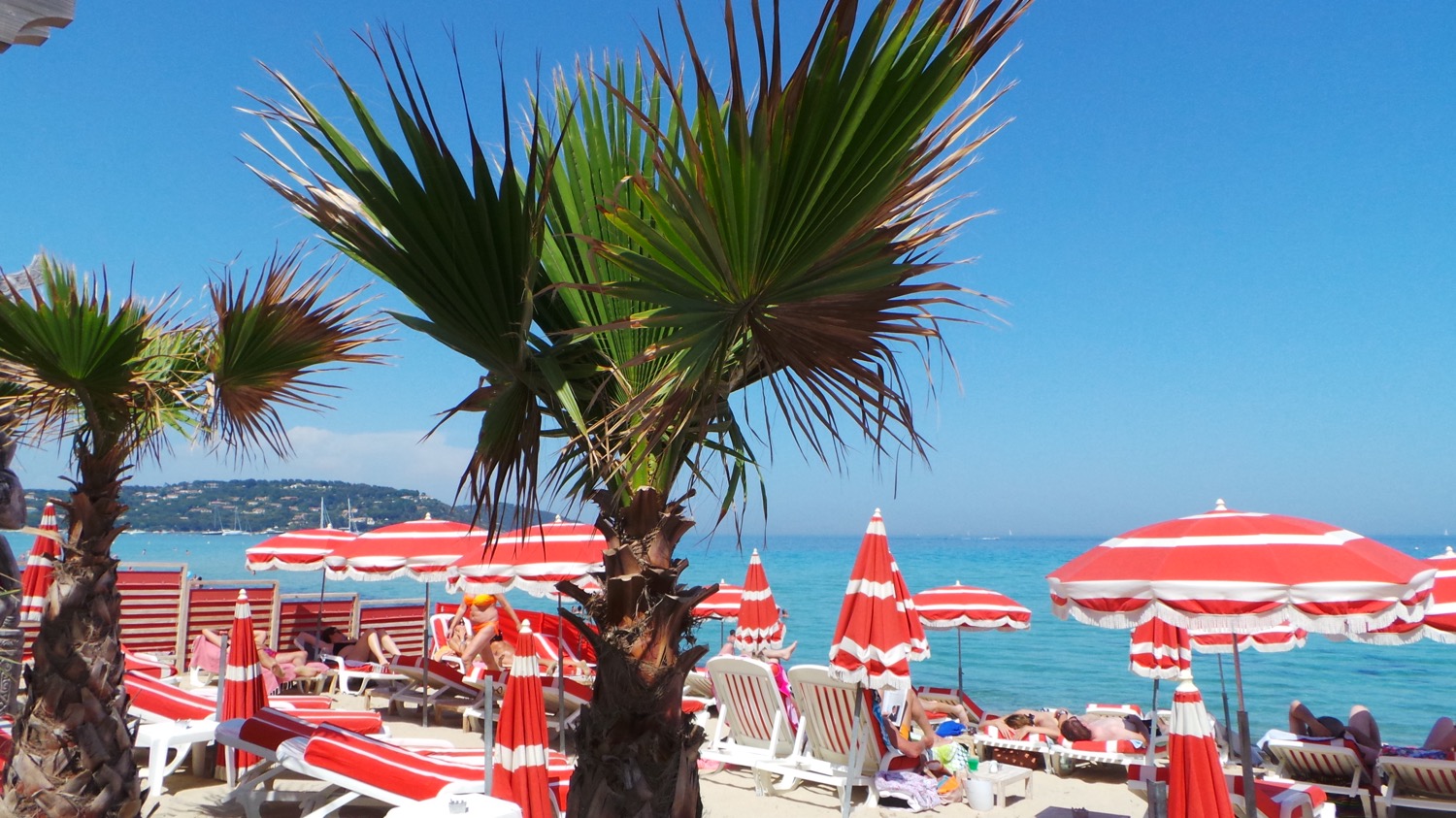 20140609_153619.JPG